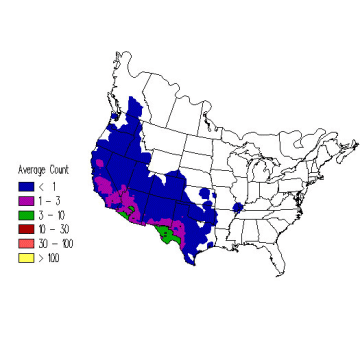 Rock Wren winter distribution map