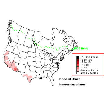 Hooded Oriole distribution map