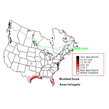 Mottled Duck distribution map