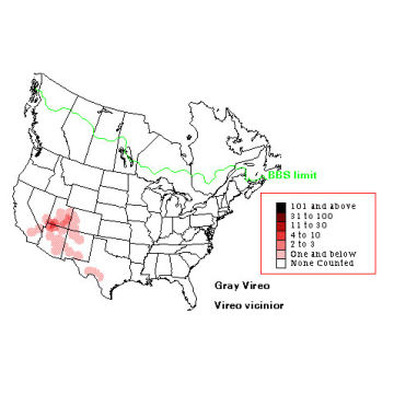 Gray Vireo distribution map