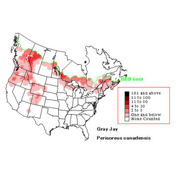 Gray Jay distribution map