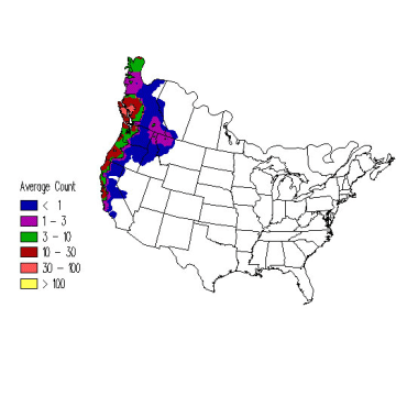 Chestnut-backed Chickadee winter distribution map