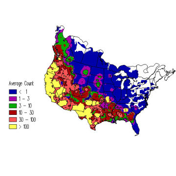 Brewer's Blackbird winter distribution map