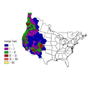 Steller's Jay winter distribution map