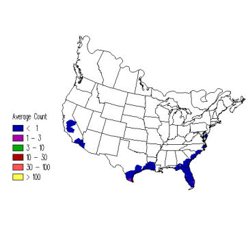 Fulvous Whistling-Duck winter distribution map