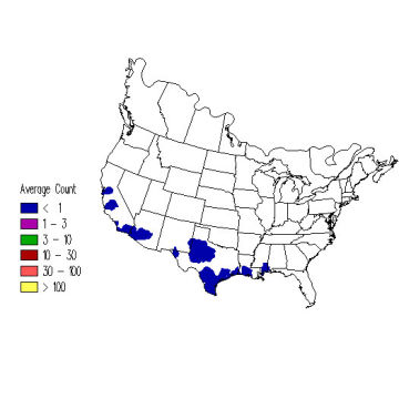 Wilson's Phalarope winter distribution map