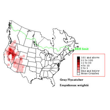 Gray Flycatcher distribution map