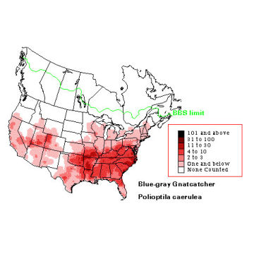 Blue-gray Gnatcatcher distribution map