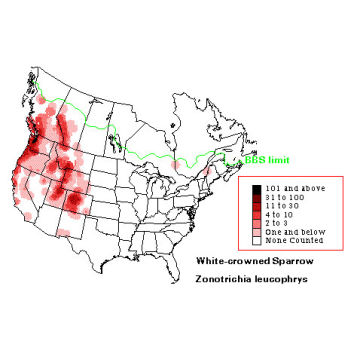 White-crowned Sparrow distribution map