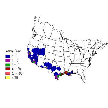 White-faced Ibis winter distribution map