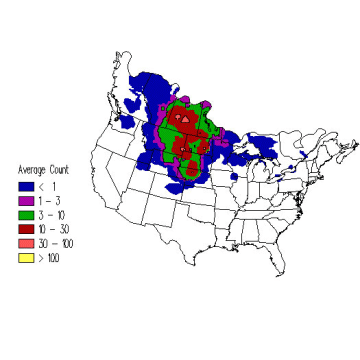 Sharp-tailed Grouse winter distribution map