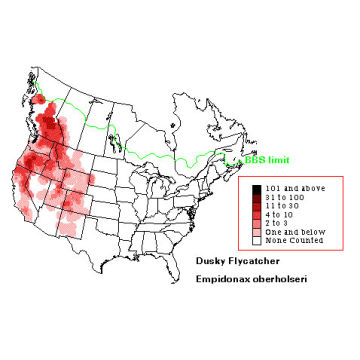 Dusky Flycatcher distribution map