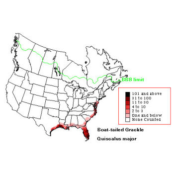 Boat-tailed Grackle distribution map