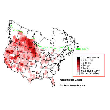 American Coot distribution map