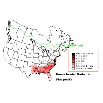Brown-headed Nuthatch distribution map