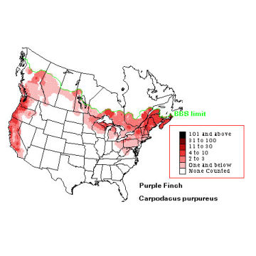 Purple Finch distribution map