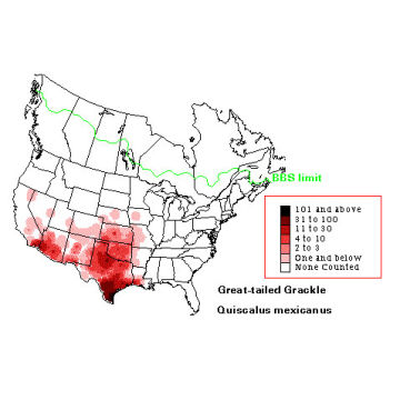 Great-tailed Grackle distribution map