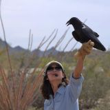 Arizona-Sonora Desert Museum - Old Tucson, Arizona, US - March 20, 2009