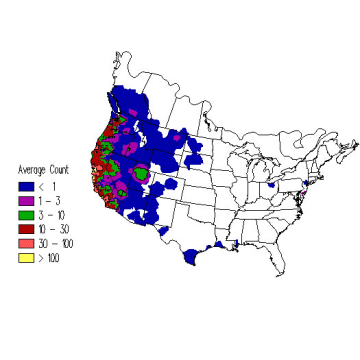 California Gull winter distribution map
