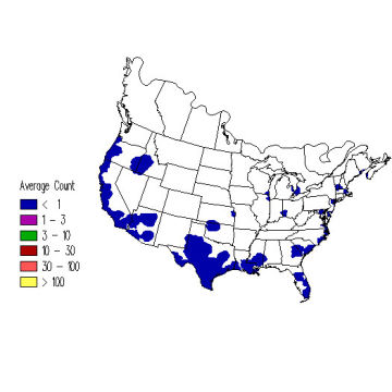 Nashville Warbler winter distribution map