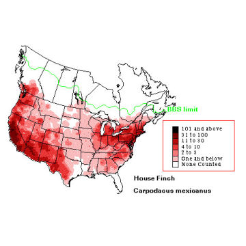 House Finch distribution map