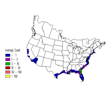 Clapper Rail winter distribution map