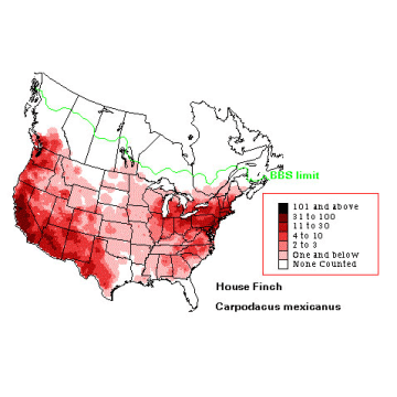House Finch distribution map