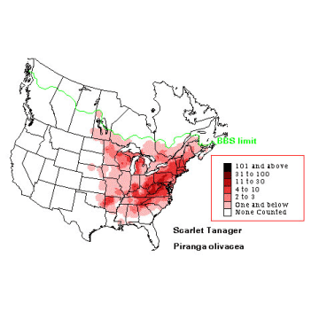 Scarlet Tanager distribution map