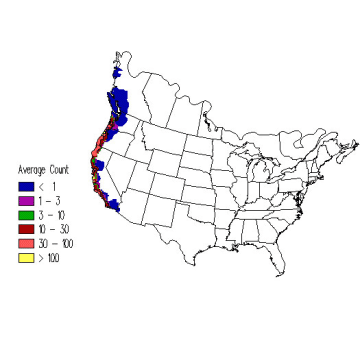 Western Gull winter distribution map