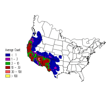 Western Bluebird winter distribution map