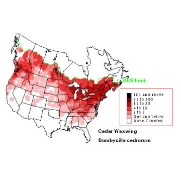 Cedar Waxwing distribution map