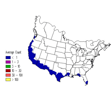 Black-throated Gray Warbler winter distribution map