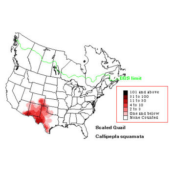 Scaled Quail distribution map