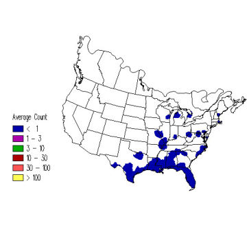 Indigo Bunting winter distribution map