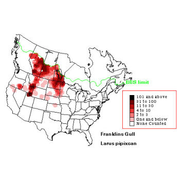 Franklin's Gull distribution map