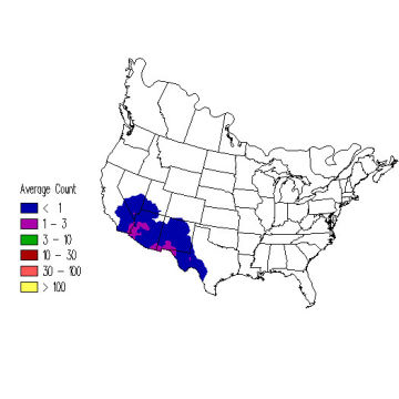 Crissal Thrasher winter distribution map