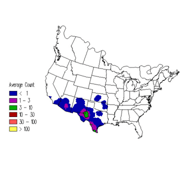 Harris' Hawk winter distribution map