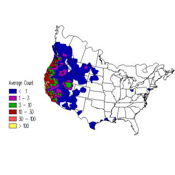 California Gull winter distribution map