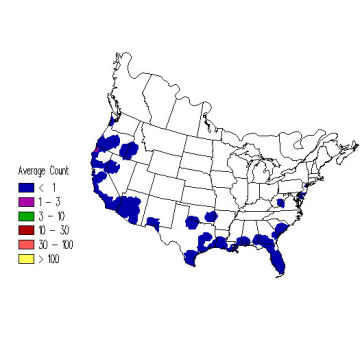 Yellow Warbler winter distribution map