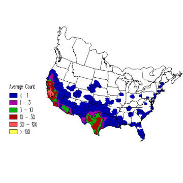 Lark Sparrow winter distribution map