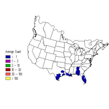 Yellow-billed Cuckoo winter distribution map