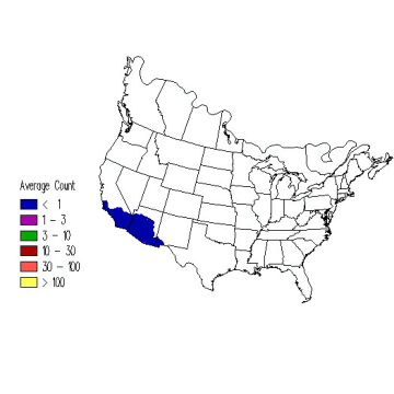 Gray Flycatcher winter distribution map