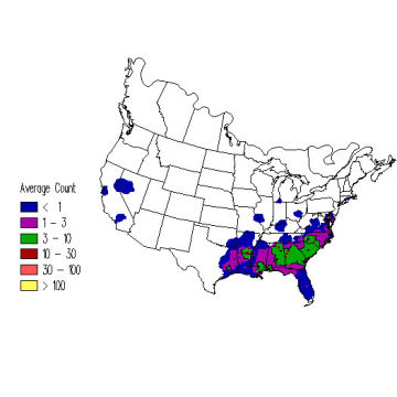 Brown-headed Nuthatch winter distribution map