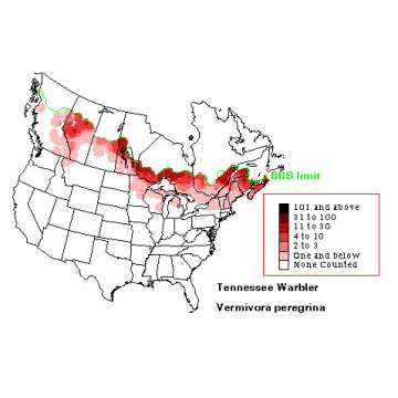 Tennessee Warbler distribution map