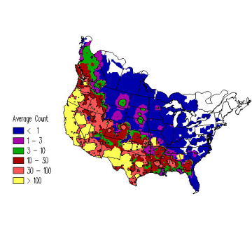 Brewer's Blackbird winter distribution map