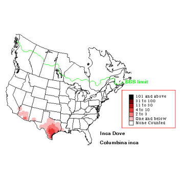 Inca Dove distribution map