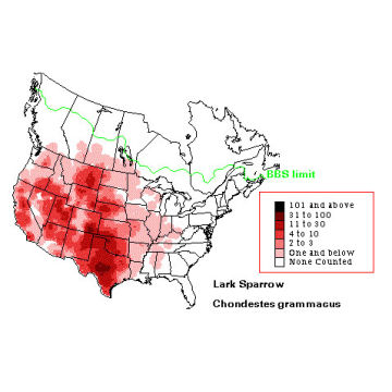 Lark Sparrow distribution map