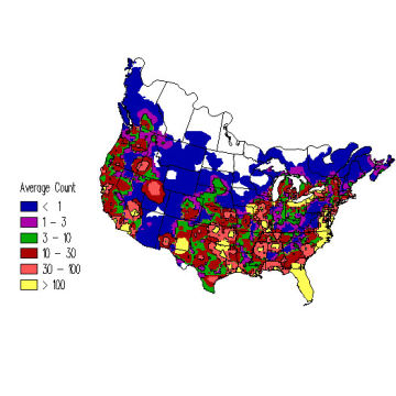 Ring-billed Gull winter distribution map