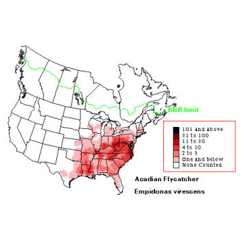 Acadian Flycatcher distribution map