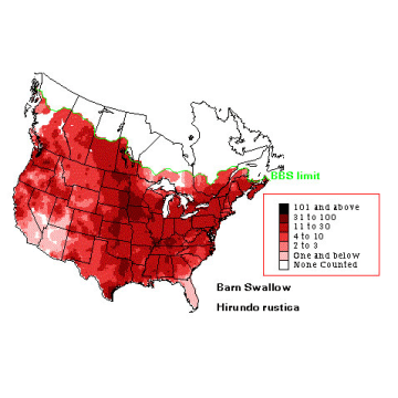 Barn Swallow distribution map